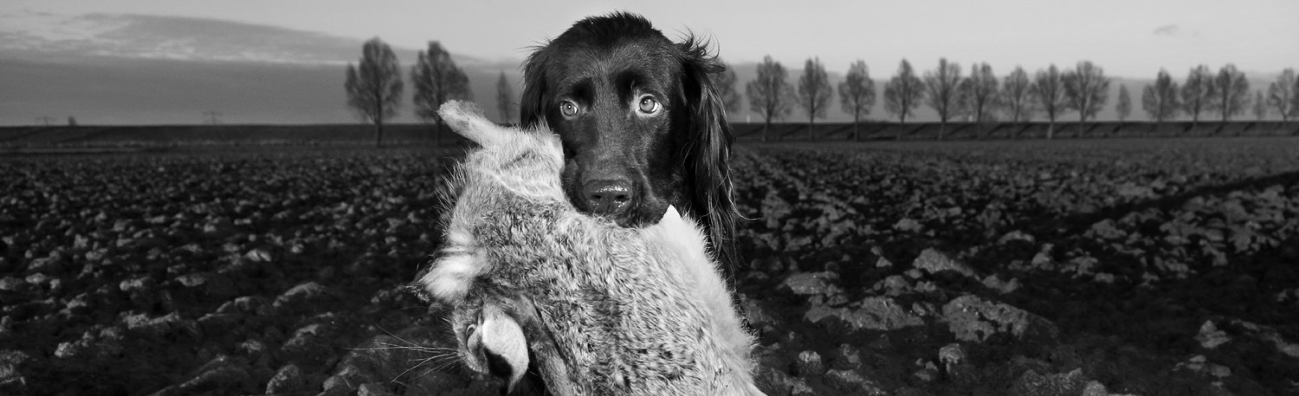Nieuw uiterlijk, nieuw CMS