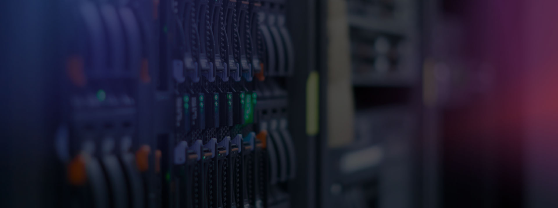 Hosting en beheer voor Amnesty International