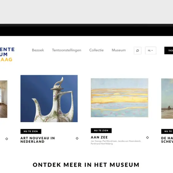 Mobiele weergaven website